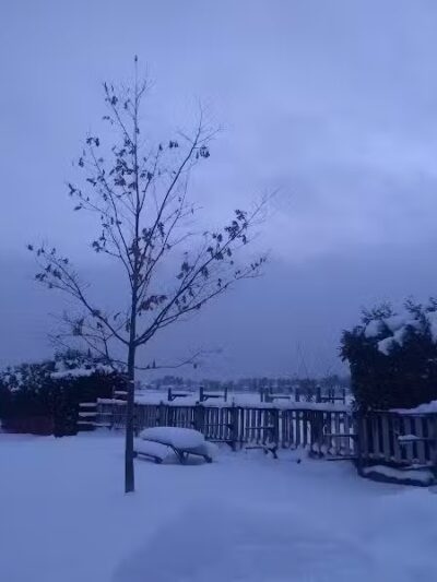 Zoll Street Beach - Harbor Springs, MI