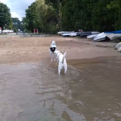 Zoll Street Beach - Harbor Springs, MI