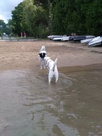 Zoll Street Beach - Harbor Springs, MI