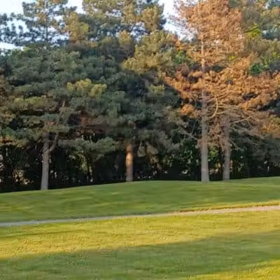 Salter Memorial Park - Harper Woods,