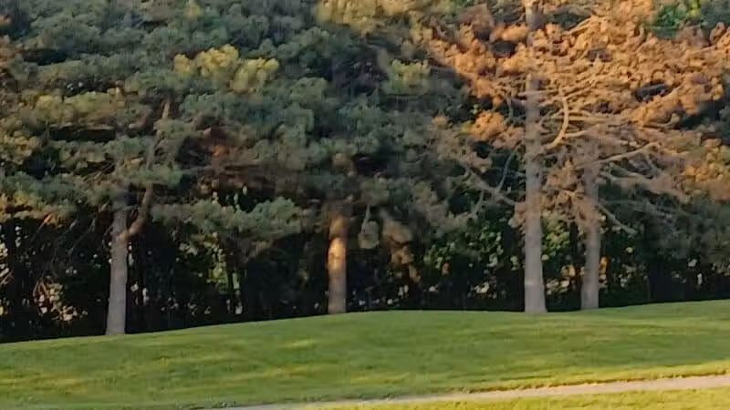 Salter Memorial Park - Harper Woods,