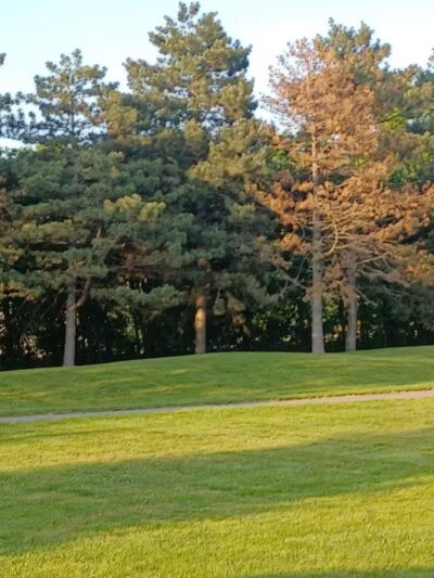 Salter Memorial Park - Harper Woods,