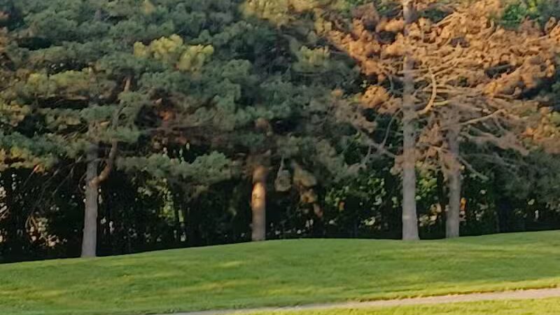 Salter Memorial Park - Harper Woods,