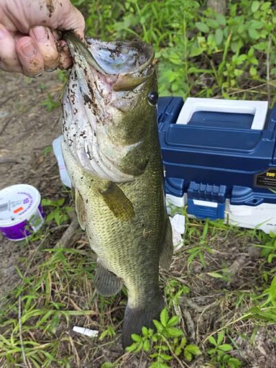 Boyd Park - Harrisburg, PA