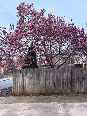 Penn and Dauphin Park - Harrisburg, PA