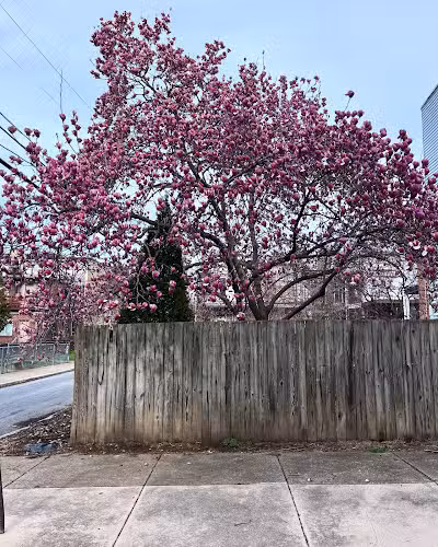 Penn and Dauphin Park - Harrisburg, PA