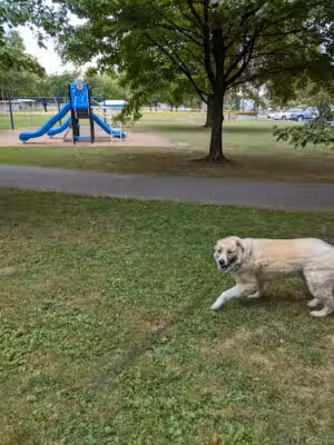 Vanatta Park - Harrisburg, PA