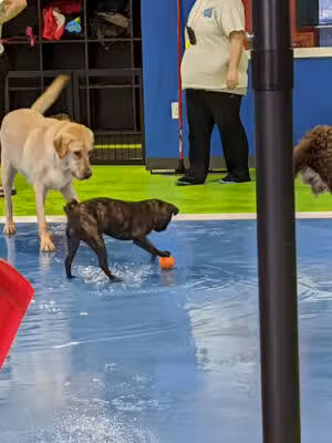 SDK South - Harrisburg, SD