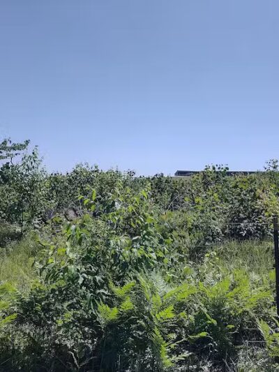 Harrison City Park - Harrison, MI