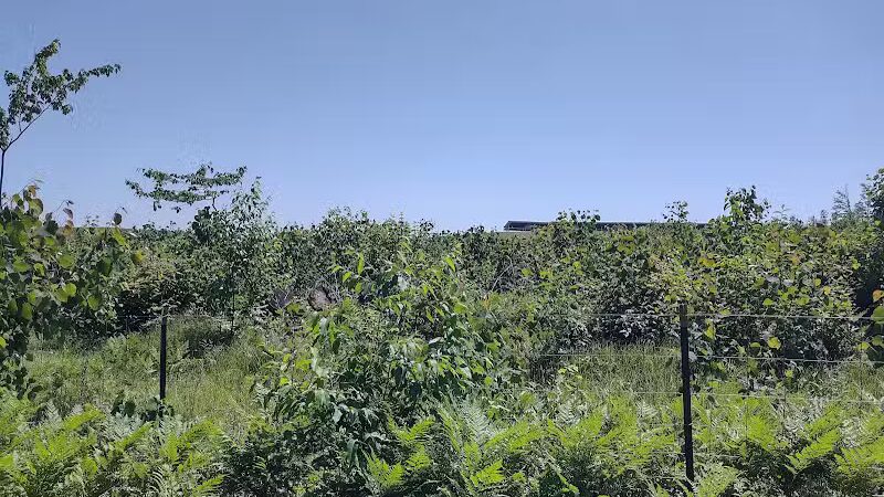 Harrison City Park - Harrison, MI