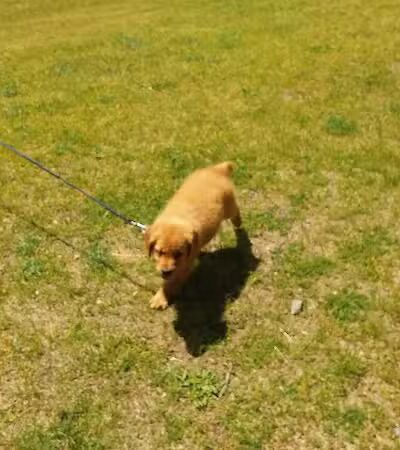 Harrison City Park - Harrison, MI