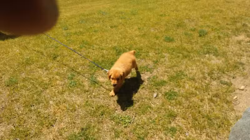 Harrison City Park - Harrison, MI