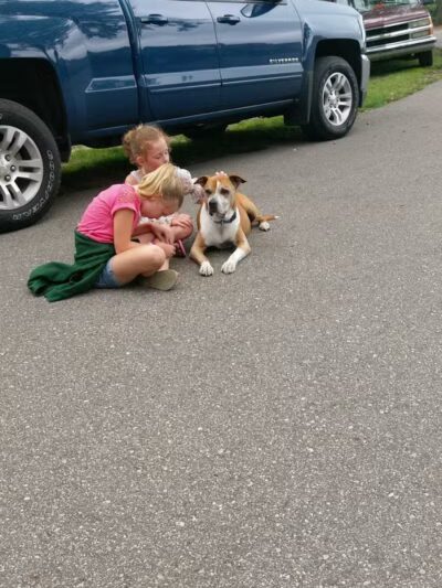 Harrison City Park - Harrison, MI