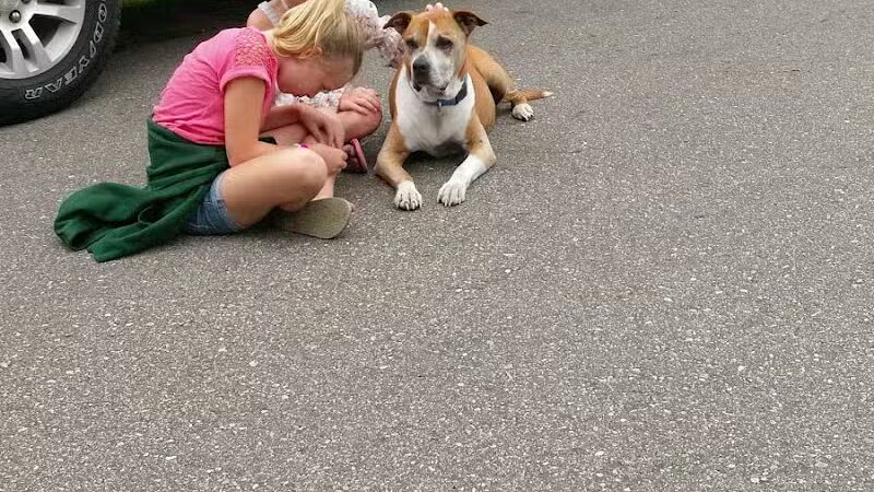 Harrison City Park - Harrison, MI