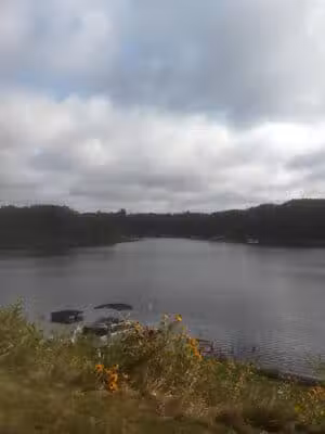 Saxton Park - Harrison, MI