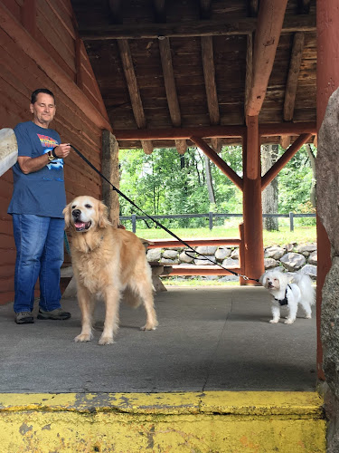 Wilson State Park - Harrison, MI