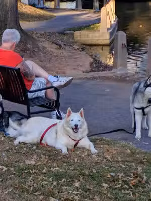 West Hudson Park - Harrison, NJ
