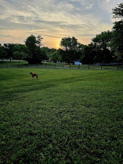 Harrison Dog Park - Harrison, OH