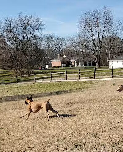 Harrison Dog Park - Harrison, OH