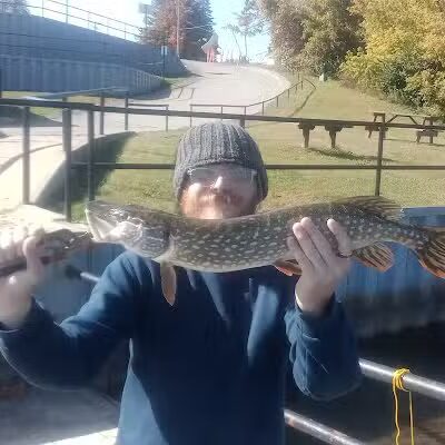 Saxton Park - Harrison, MI