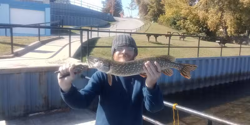 Saxton Park - Harrison, MI