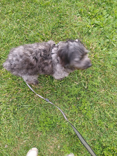 Harrison Township Waterfront Park - Harrison Township,