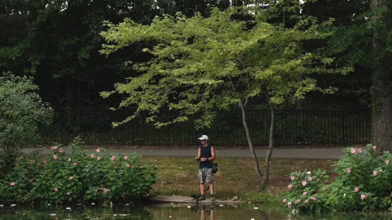 West Hudson Park - Harrison, NJ