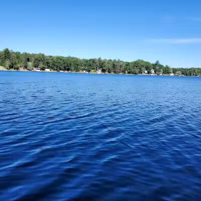 Wilson State Park - Harrison, MI