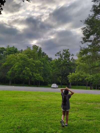 Hillandale Park - Harrisonburg, VA