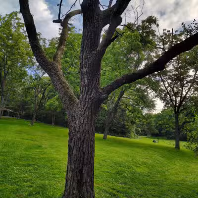 Hillandale Park - Harrisonburg, VA