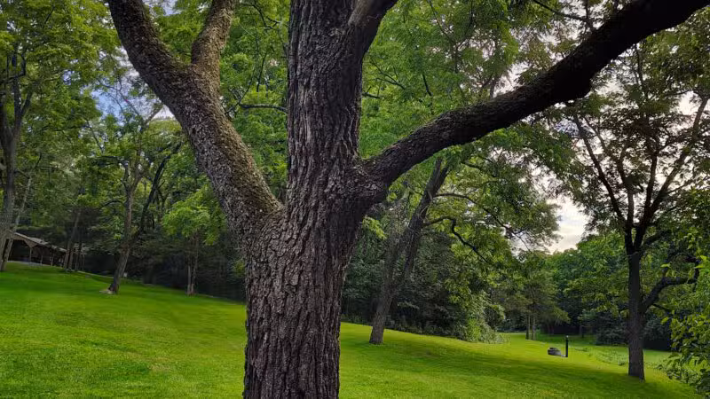 Hillandale Park - Harrisonburg, VA