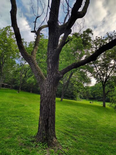 Hillandale Park - Harrisonburg, VA