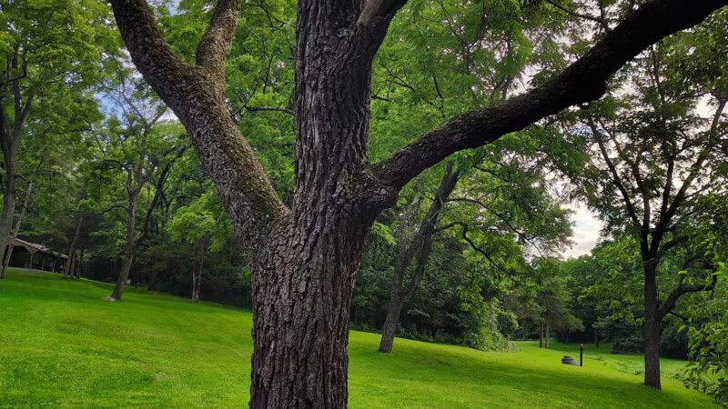 Hillandale Park - Harrisonburg, VA