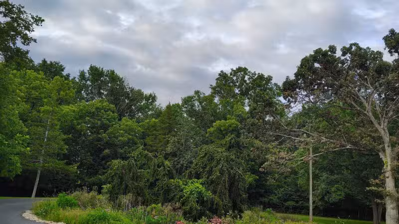 Hillandale Park - Harrisonburg, VA