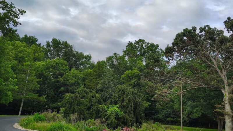 Hillandale Park - Harrisonburg, VA