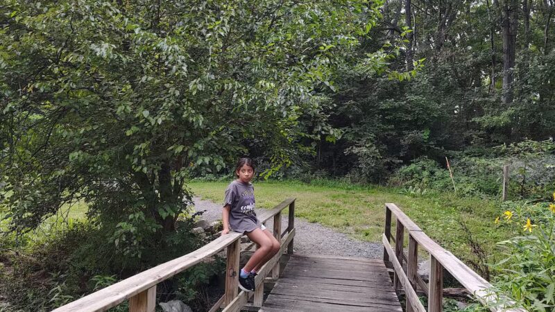 Hillandale Park - Harrisonburg, VA