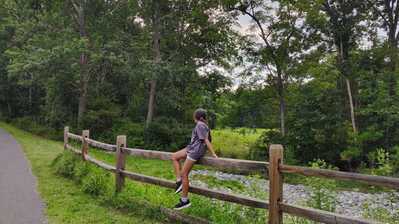 Hillandale Park - Harrisonburg, VA