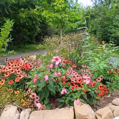 Purcell Park - Harrisonburg, VA