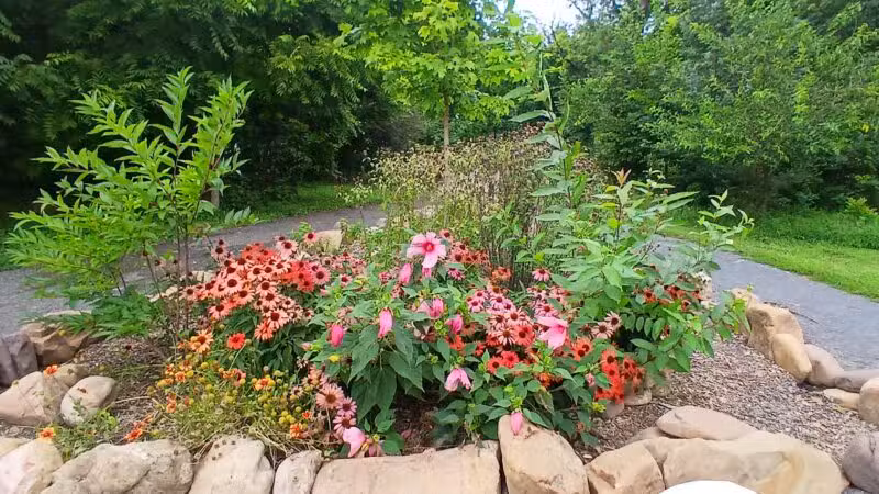 Purcell Park - Harrisonburg, VA
