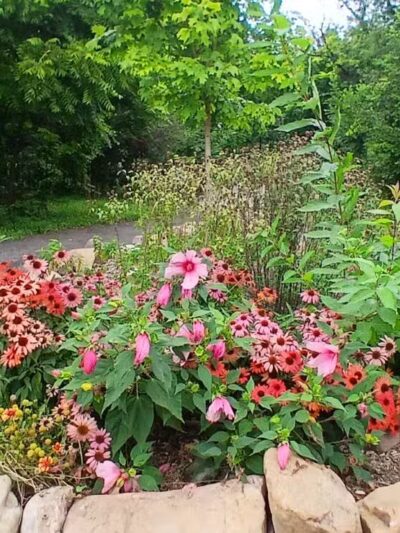 Purcell Park - Harrisonburg, VA