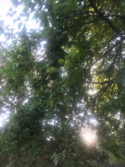 Biking Trail - Harrisonburg, VA