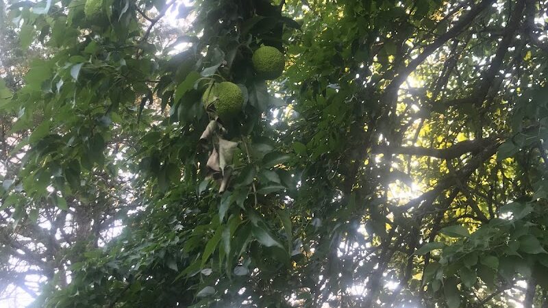 Biking Trail - Harrisonburg, VA
