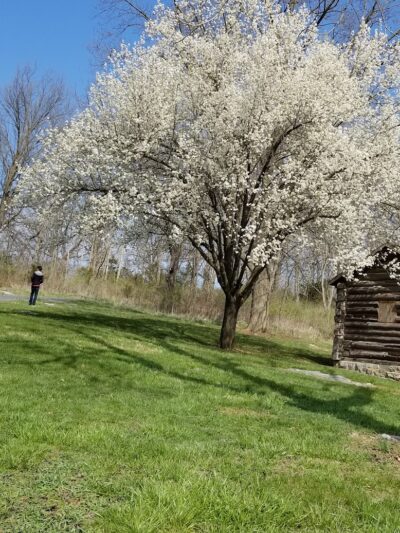 Biking Trail - Harrisonburg, VA