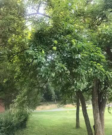 Biking Trail - Harrisonburg, VA