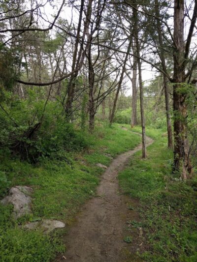 Hillandale Park - Harrisonburg, VA