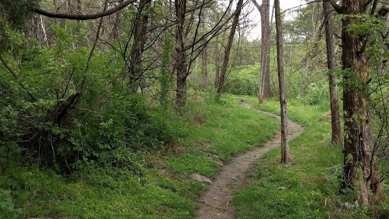 Hillandale Park - Harrisonburg, VA