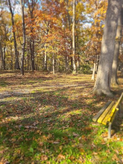 Hillandale Park - Harrisonburg, VA