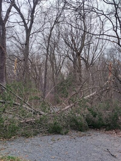 Hillandale Park - Harrisonburg, VA
