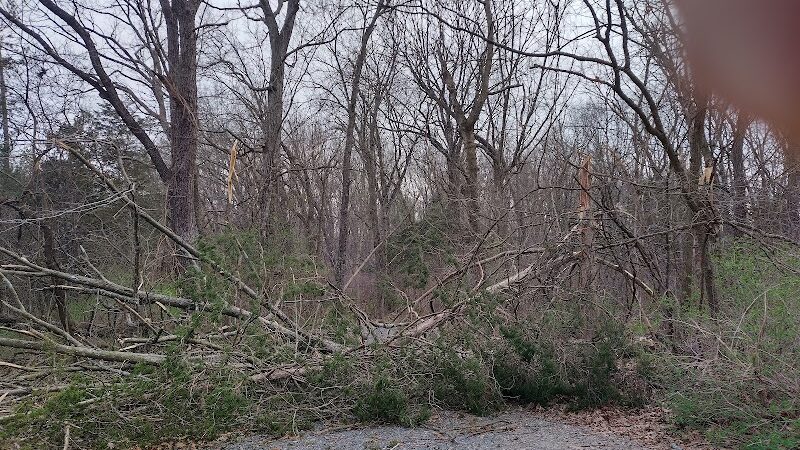 Hillandale Park - Harrisonburg, VA