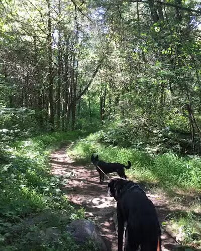 Hillandale Park - Harrisonburg, VA